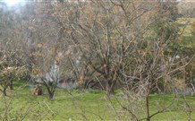 Sheridan B And B - Accommodation NSW 2