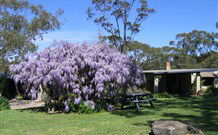 Studio Cottages Romantic Hideaway - Accommodation NSW 0