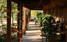 The Vineyard Motel - Accommodation NSW 0