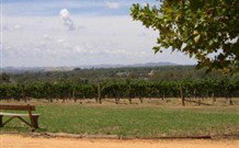 The Vineyard Motel - Accommodation NSW 1