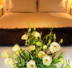 Winton Luxury Bed and Breakfast - Accommodation NSW