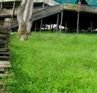 Snowy Valley Resort - Accommodation NSW