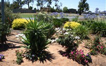 Aaroona Holiday Resort - Accommodation NSW 2