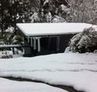 Black Bream Point Holiday Cottages - Accommodation NSW