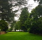 Brigalow Cottage - Accommodation NSW