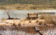 Don Hearns Cabins - thumb 1