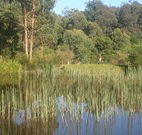 Fosterton Lodge Retreat - Accommodation NSW