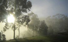 Grace Cottages - Accommodation NSW 2