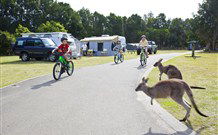 Norman Lindsay Cottage - Accommodation NSW 4