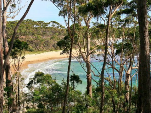 Allawah Cabins - Accommodation NSW 2
