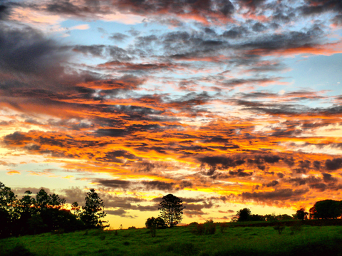 Yarraman Caravan Park & Cabins - Accommodation NSW 5