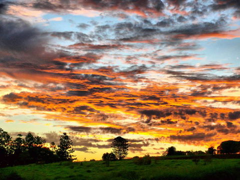 Yarraman Caravan Park & Cabins - Accommodation NSW 9