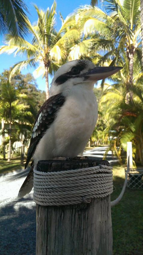 Bush Village Budget Cabins - Accommodation NSW 33