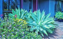 Retreat Homestead - Accommodation NSW 0