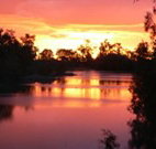 Roches Family Hotel - Accommodation NSW