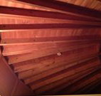 Sea Cottage - Accommodation NSW