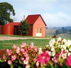 Tropical Coast Retreat - Accommodation NSW