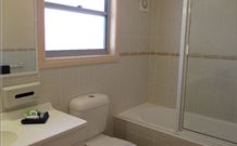 Willow Tree Inn - Accommodation NSW 3