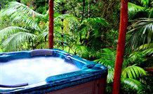 Wonga - Accommodation NSW 0