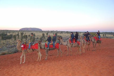 Ayers Rock - Outback Pioneer Lodge - Accommodation NSW 1