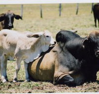 Henderson Park Farm Retreat - Accommodation NSW
