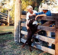 Minmore Farmstay Bed and Breakfast - Accommodation NSW