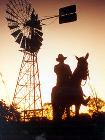 Minmore Farmstay Bed And Breakfast - Accommodation NSW 1