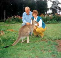 Bimbimbi and Little Hollow Farm Stay - Accommodation NSW