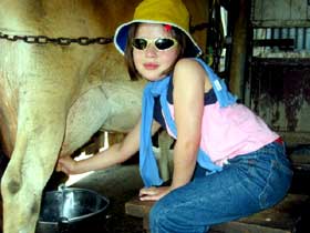 Cedar Glen Farmstay - Accommodation NSW 2