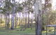 Goomburra Valley Campground - thumb 2