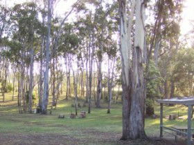 Goomburra Valley Campground - Accommodation NSW 2