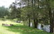 Goomburra Valley Campground - thumb 3