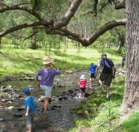 Gordon Country - Accommodation NSW