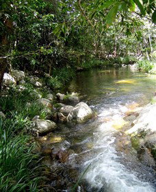 Sweetwater Lodge - Accommodation NSW 3