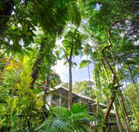 Daintree Eco Lodge and Spa - Accommodation NSW