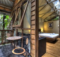 Daintree Wilderness Lodge - Accommodation NSW