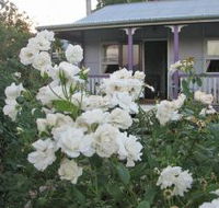 Thistledown Country Retreat - Accommodation NSW