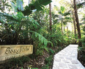 Songbirds Rainforest Retreat - Accommodation NSW 0