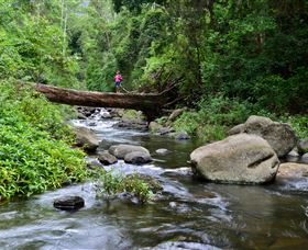 Minden QLD Accommodation NSW