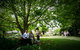 Cotswold Gardens Armidale - thumb 1