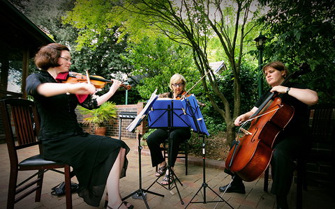 Cotswold Gardens Armidale - Accommodation NSW 16