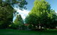 Cotswold Gardens Armidale - thumb 25