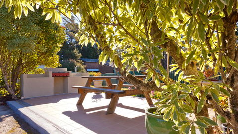 Best Western Alpine Motor Inn - Accommodation NSW 0