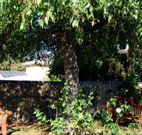 BEST WESTERN Wanderlight Motor Inn - Accommodation NSW