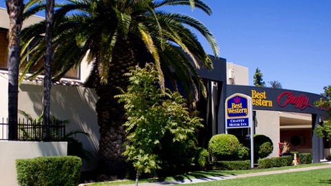 BEST WESTERN Chaffey International Motor Inn - Accommodation NSW 1
