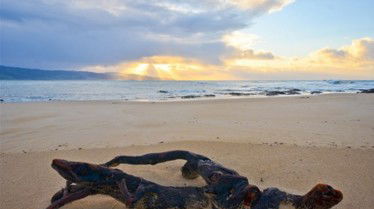 Best Western Apollo Bay Motel And Apartments - Accommodation NSW 7