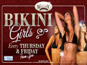 Wallaby Hotel - Accommodation NSW 3