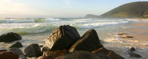 Pacific Palms Signature Properties - Accommodation NSW 18