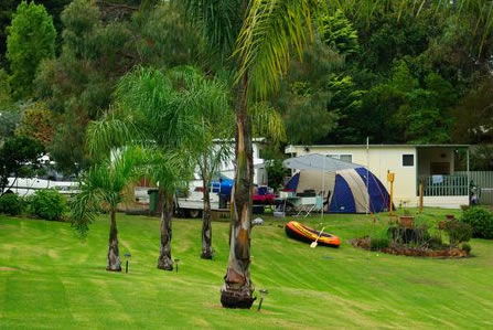 Albany Happy Days Caravan Park - Accommodation NSW 2