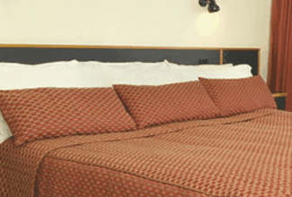 Margarets Forest - Accommodation NSW